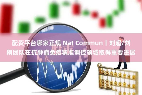 配资平台哪家正规 Nat Commun丨刘超/刘刚团队在抗肿瘤免疫精准调控领域取得重要进展